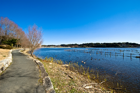 公園　佐鳴湖公園（公園）まで930m