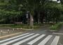 公園　小金井公園（公園）まで1877m