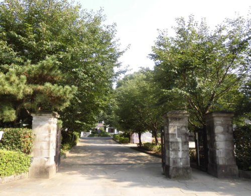 中学校　熊本市立白川中学校（中学校）まで1697m