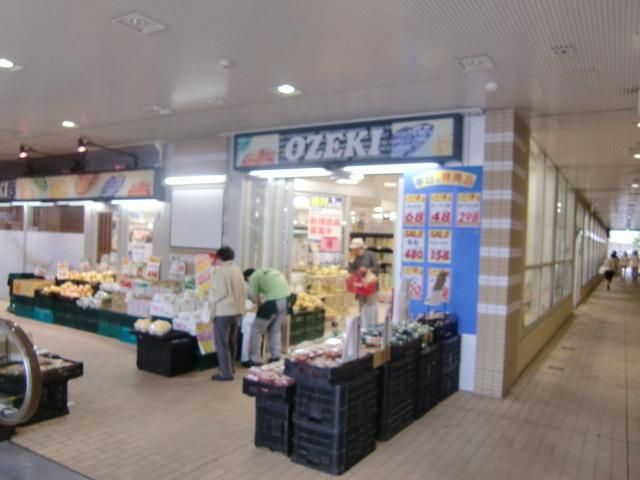 スーパー　スーパーオオゼキ市川店（スーパー）まで443m