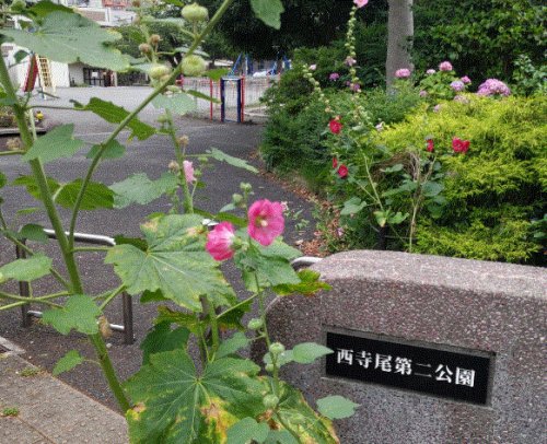 公園　西寺尾第二公園（公園）まで337m