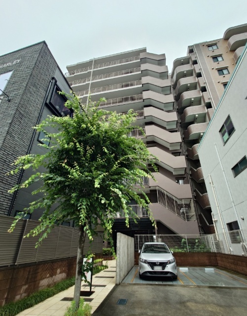 建物外観　人気の分譲マンション！