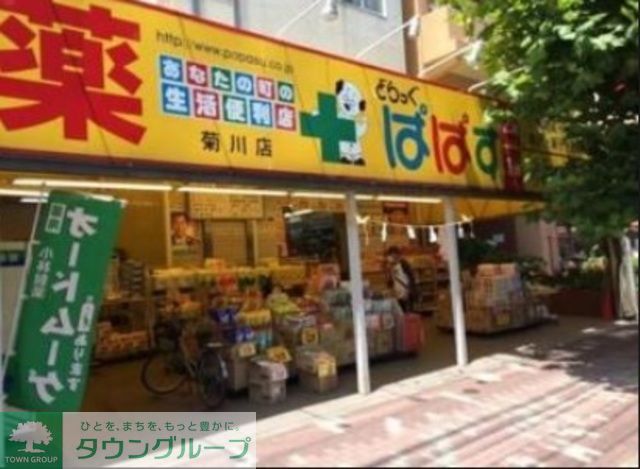 ドラックストア　どらっぐぱぱす菊川店（ドラッグストア）まで570m