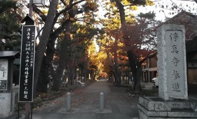 その他　九品仏淨眞寺（その他）まで2077m