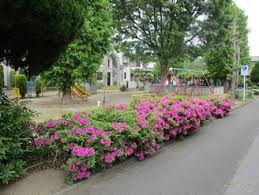 公園　つつじ公園（公園）まで114m
