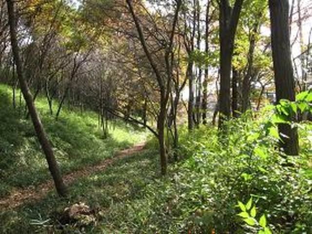 公園　日野緑地（公園）まで985m