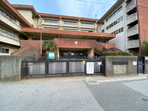 小学校　松戸市立旭町小学校（小学校）まで332m