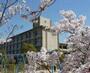 小学校　三木市立広野小学校（小学校）まで355m