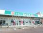 ドラックストア　ドラッグセイムス モールプラザ草加中央店（ドラッグストア）まで275m