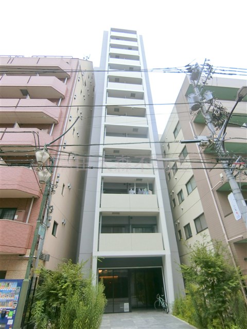 建物外観　2021年5月築　RC鉄筋コンクリート造地上13階建て1DK