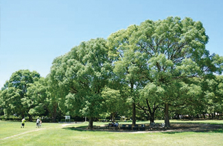 公園　行田公園（公園）まで807m
