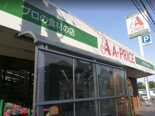 スーパー　A－プライス溝の口店（スーパー）まで198m
