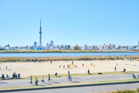 ハーモニーテラス栗原IIのその他写真