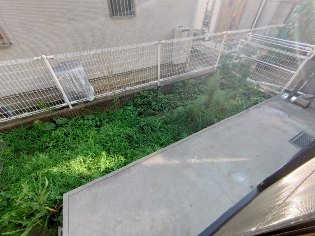 庭