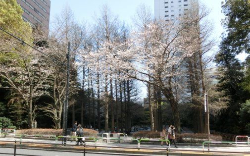 公園　東池袋中央公園（公園）まで1240m