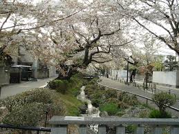 公園　北沢川緑道（公園）まで352m