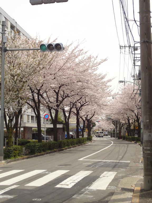 京王多摩川コーポラスのその他写真