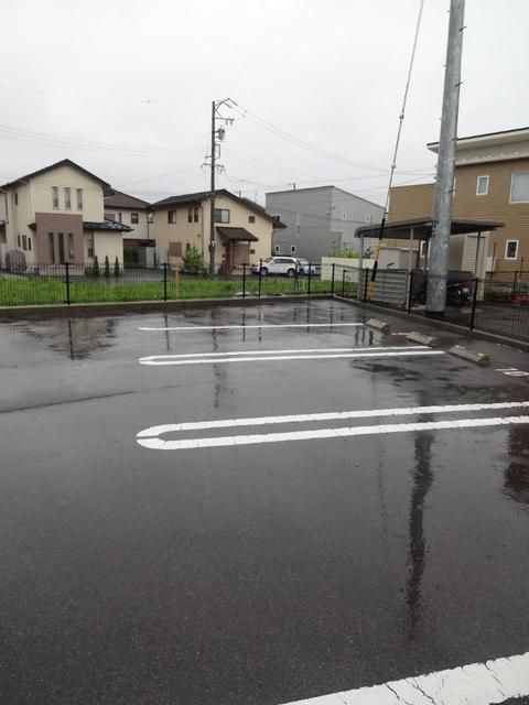 アクシア グミの木のその他写真