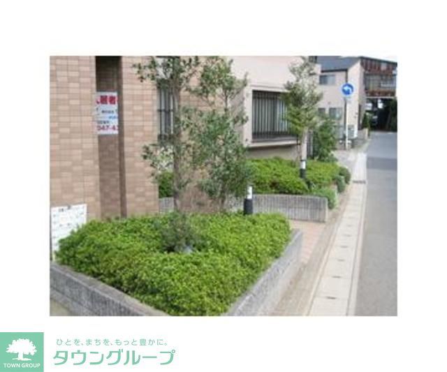 庭