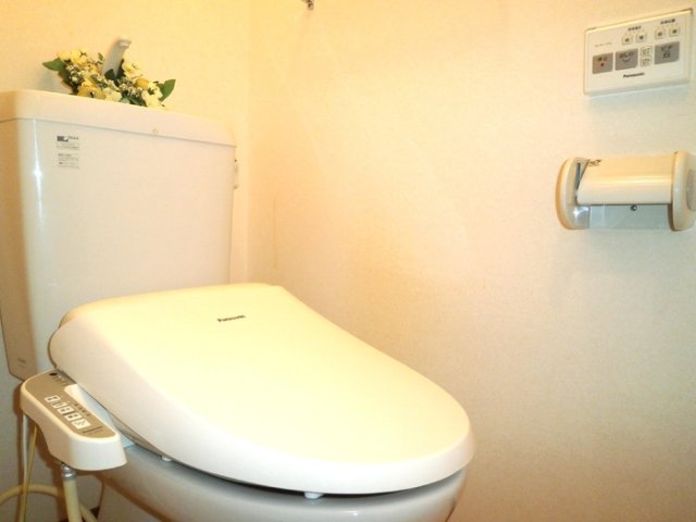 トイレ　トイレも気になるポイント