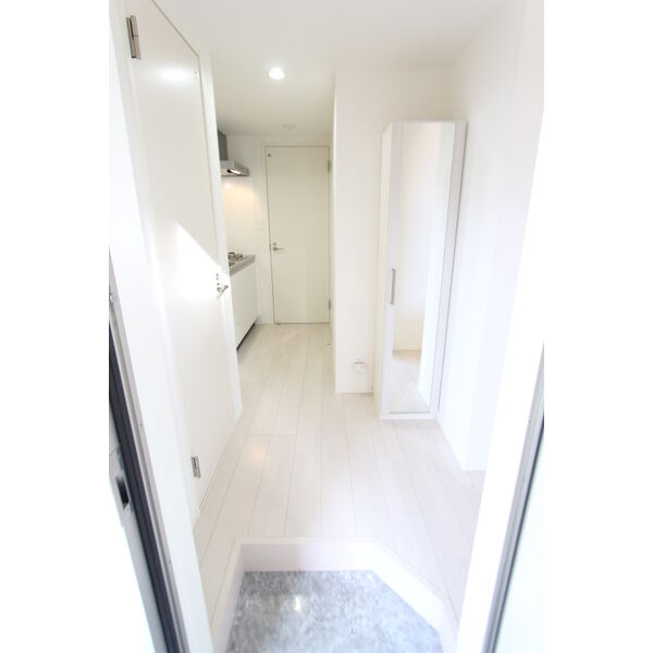 玄関　同タイプの写真です。