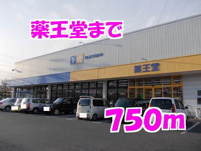 その他　薬王堂（その他）まで750m