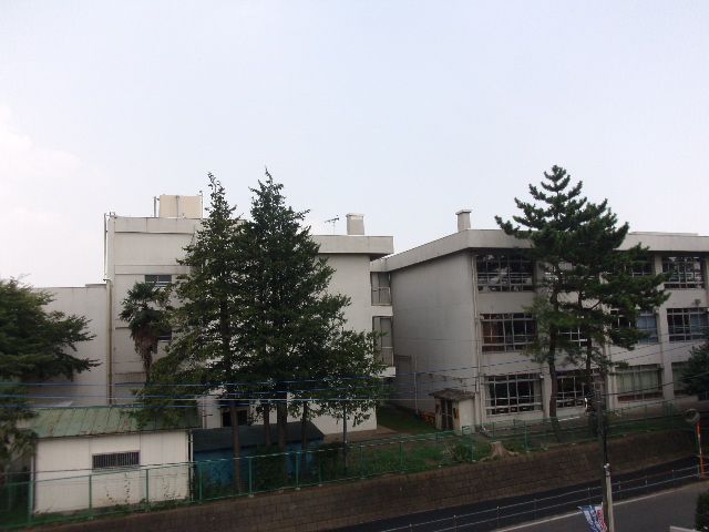 小学校　桜台小学校（小学校）まで227m