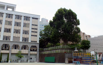 小学校　私立東京女学館小学校（小学校）まで694m