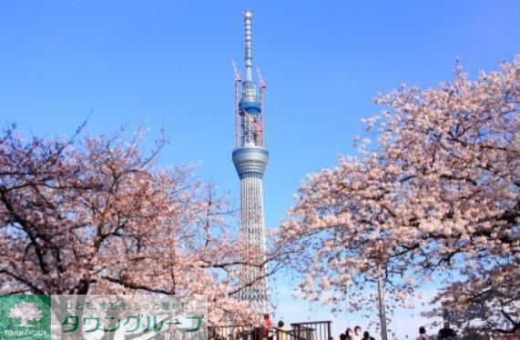 公園　隅田公園（公園）まで800m