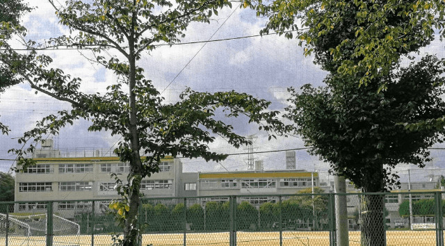 中学校　柏市立富勢中学校（中学校）まで1753m
