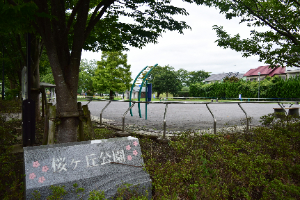公園　桜ヶ丘公園（公園）まで527m