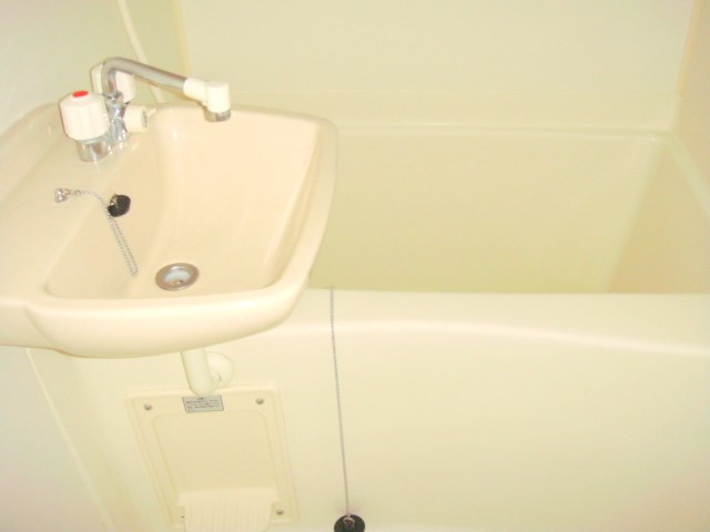 洗面設備　洗面台はバスルームに設置されています