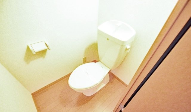 トイレ　同物件別号室のものです。