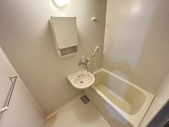 バス・シャワールーム　※別部屋の写真です