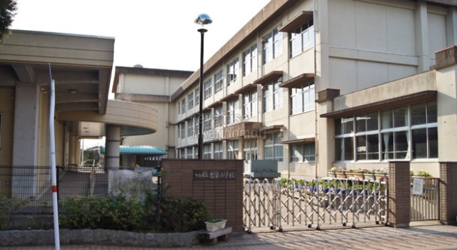 小学校　熊本市立若葉小学校（小学校）まで881m