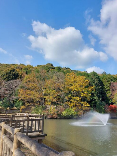 公園　赤塚山公園（公園）まで118m