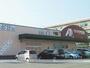 ドラックストア　クスリのアオキ　千歳店（ドラッグストア）まで550m