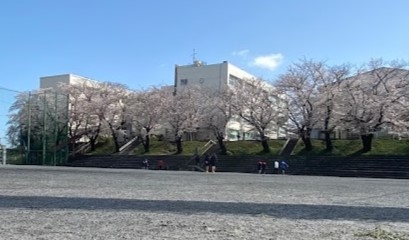 中学校　横浜市立城郷中学校（中学校）まで1260m