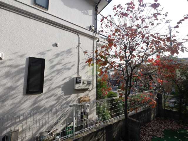 眺望　別部屋参考写真