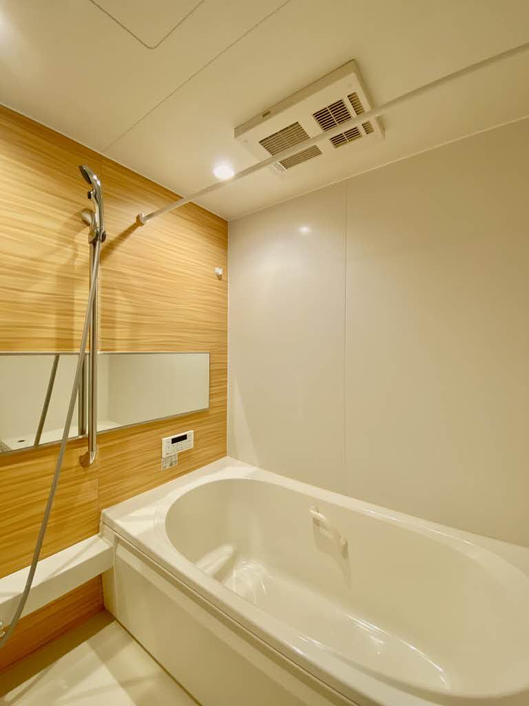 その他　シャイド５５