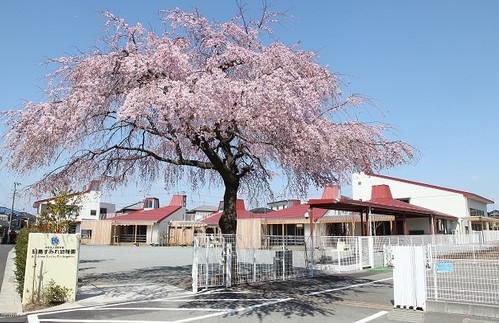 幼稚園・保育園　昭島すみれ幼稚園（幼稚園・保育園）まで802m