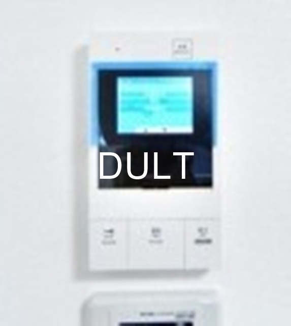 セキュリティ　モニター付きインターホンです。