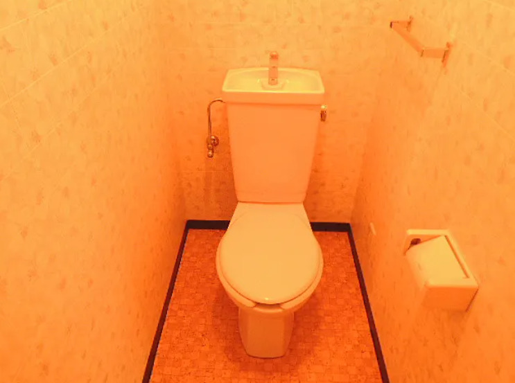 トイレ　落ち着いたトイレです