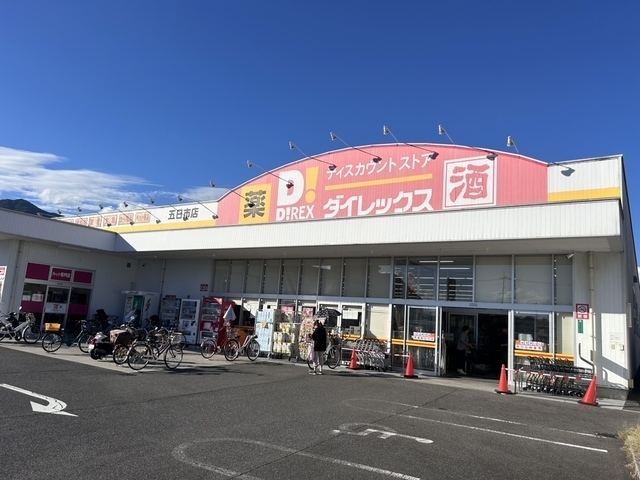 その他　ダイレックス（その他）まで850m