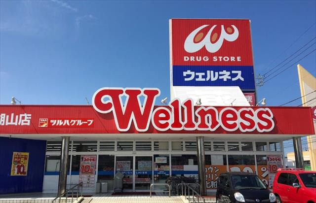 ドラックストア　ウェルネス湖山店（ドラッグストア）まで2102m
