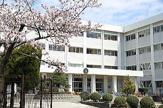 小学校　新潟市立東青山小学校（小学校）まで1362m