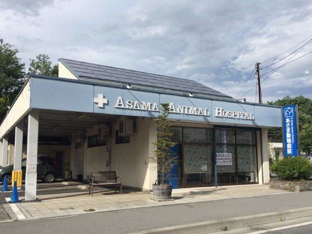 病院　あさま動物病院（病院）まで1300m