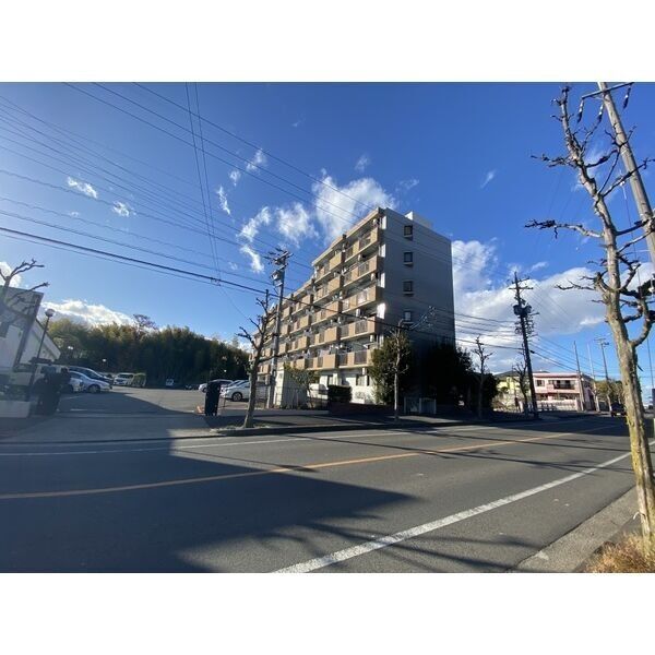 URBAN STAGE SHAMROCKのその他写真