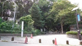その他　林試の森公園