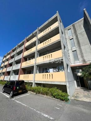 板野郡北島町鯛浜のマンションの建物外観